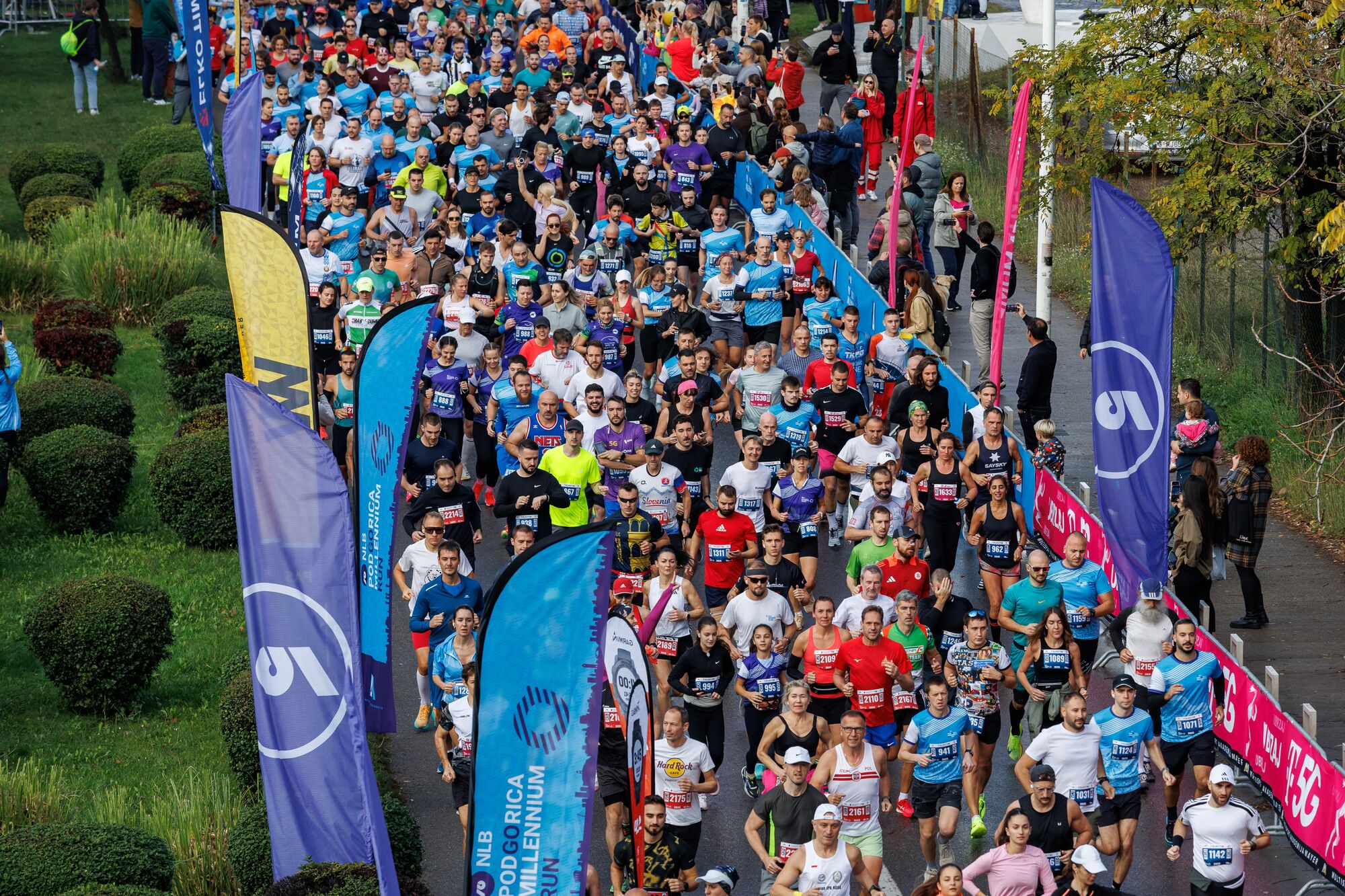 The start of the race